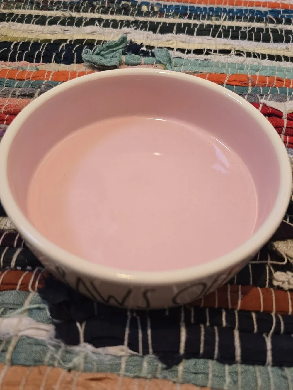 Rae Dunn Pet Bowls Rae Dunn Cat Bowl Dog Bowl  White Pink Paws Off